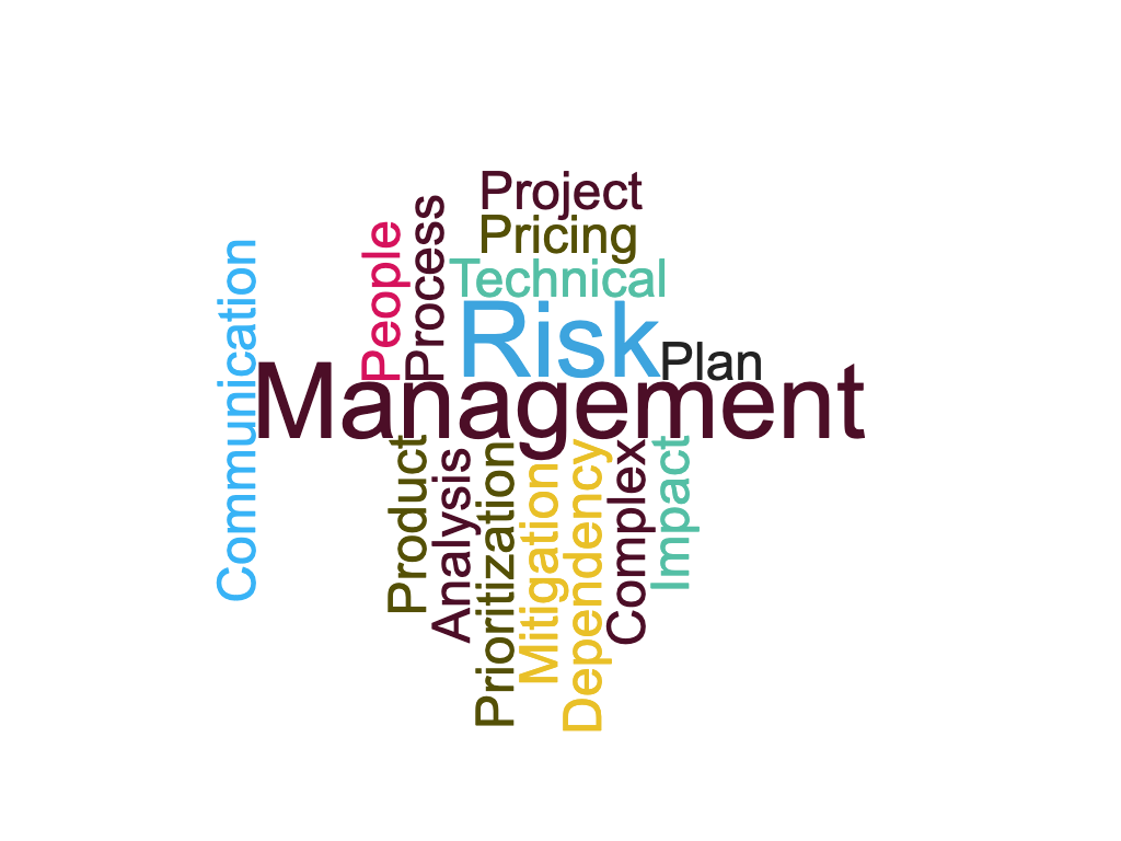Risk Management word cloud